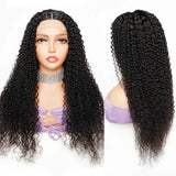 13 X 1 T-part Curly Wig 22 inch